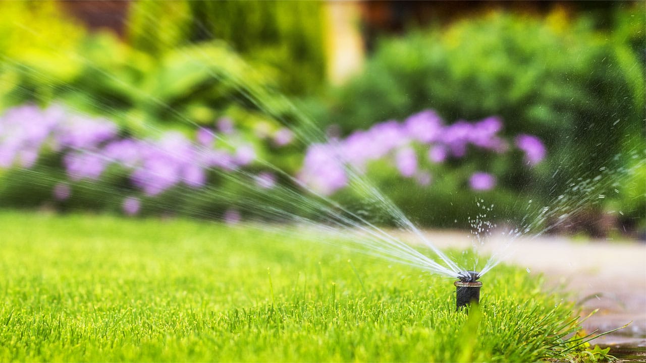 automatic sprinkler system watering the lawn on a background of green grass, close-up