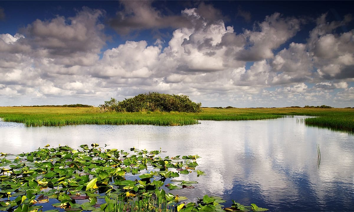 Big Cypress National Preserve