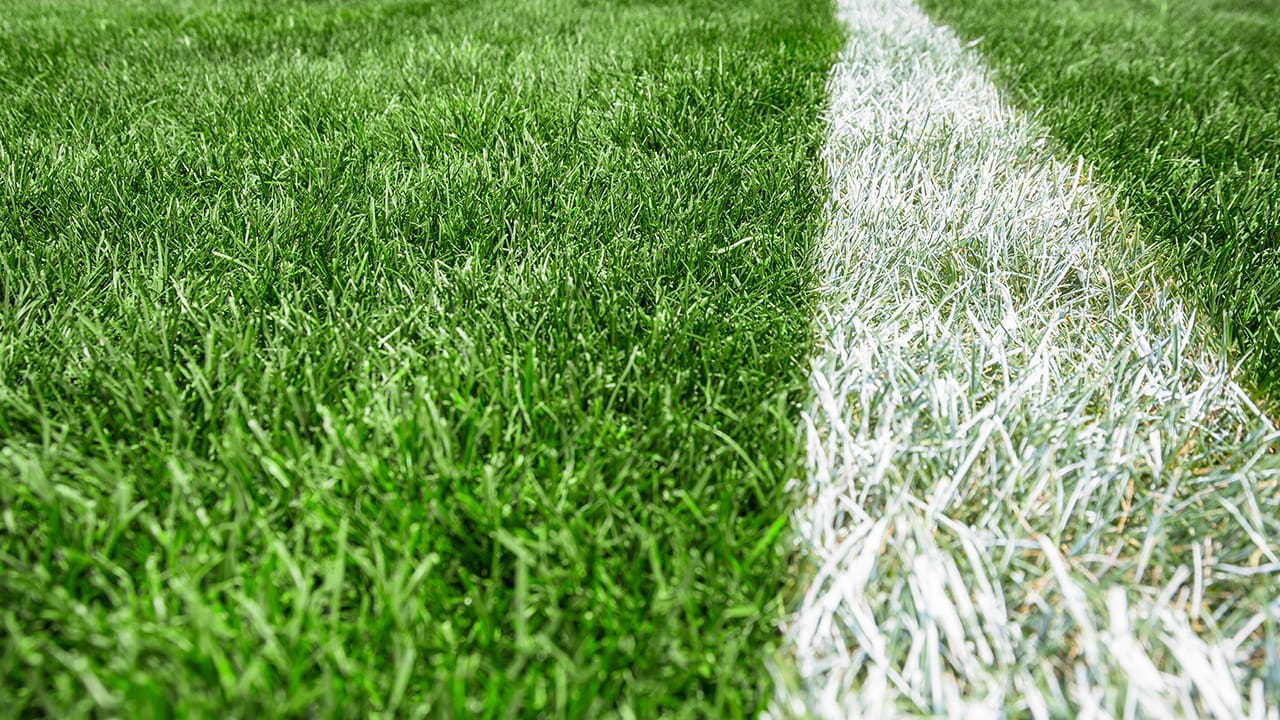 Close up of dry cracked ground