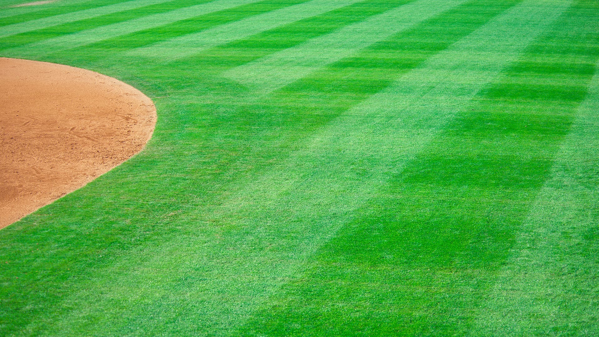 Neat and healthy grass of a baseball field