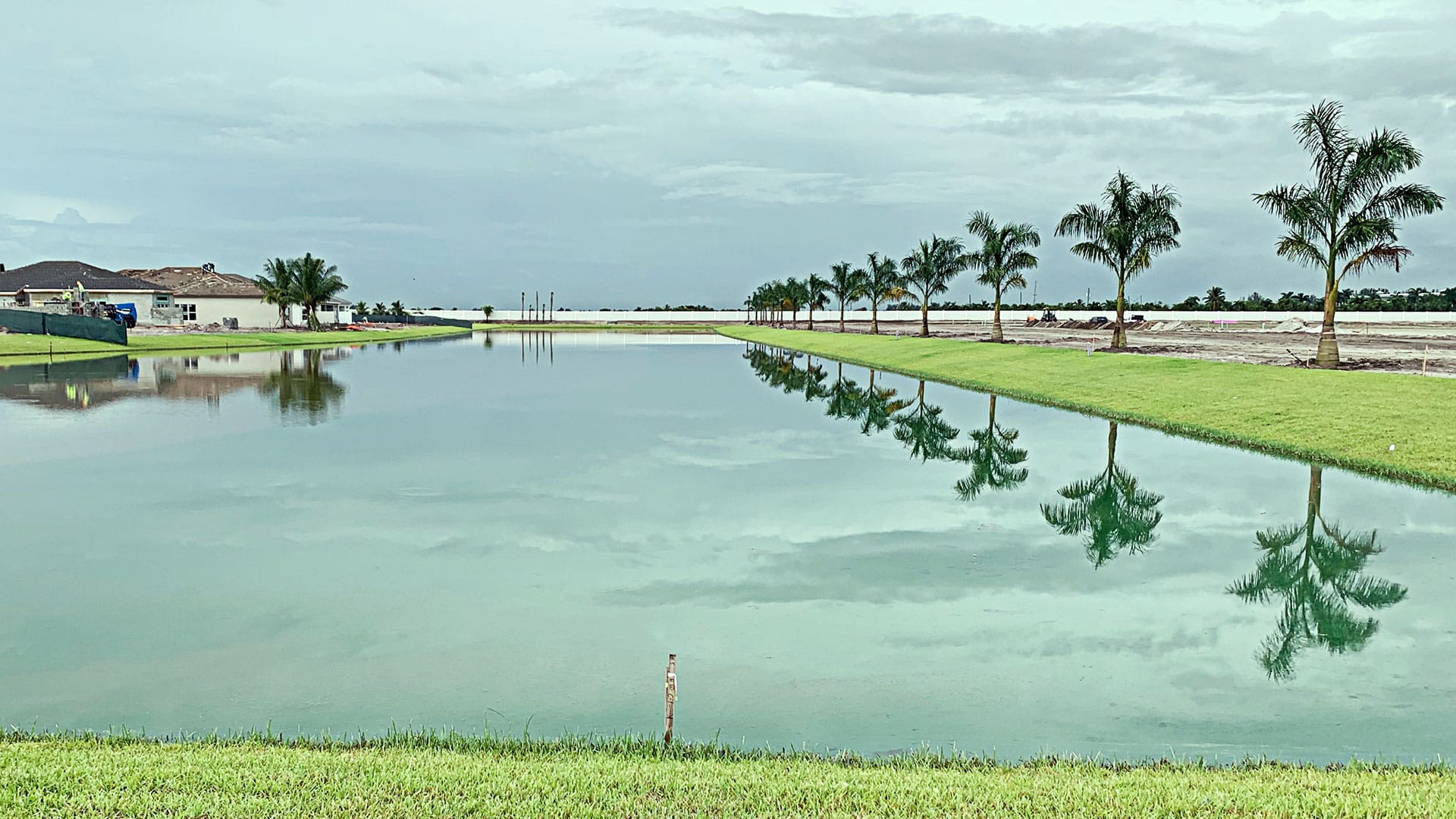 Water and palm trees reflecting on the Castellina Community Estate