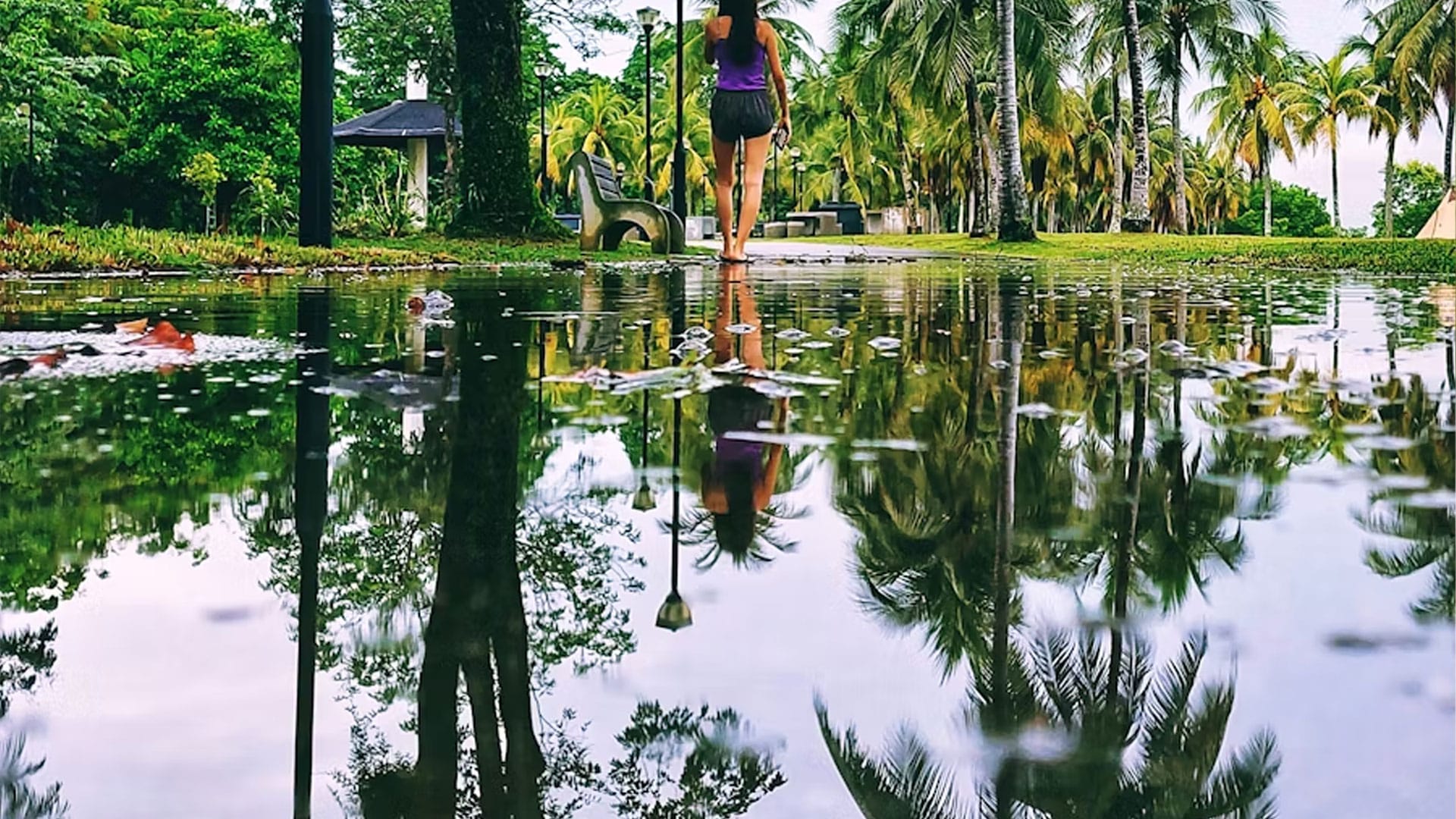 Close up of large puddle on a path with palm trees in the background