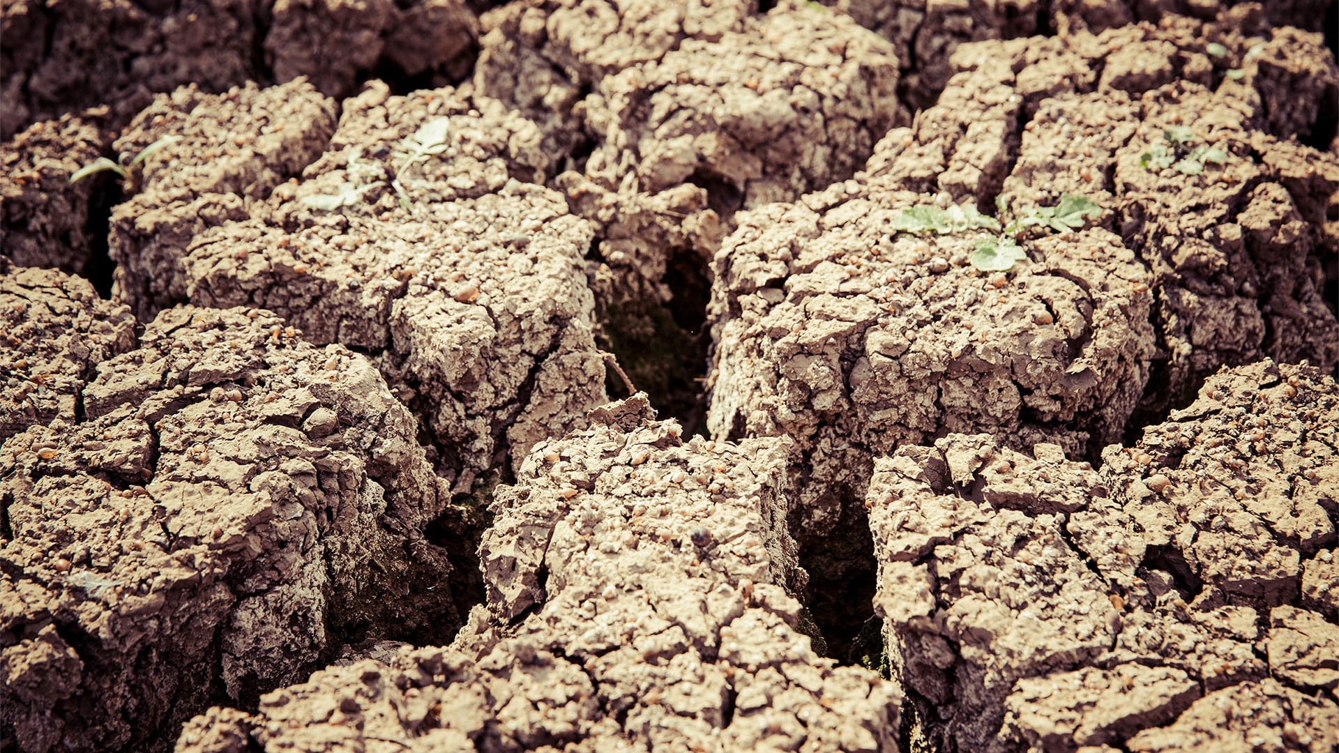 Dry cracking soil