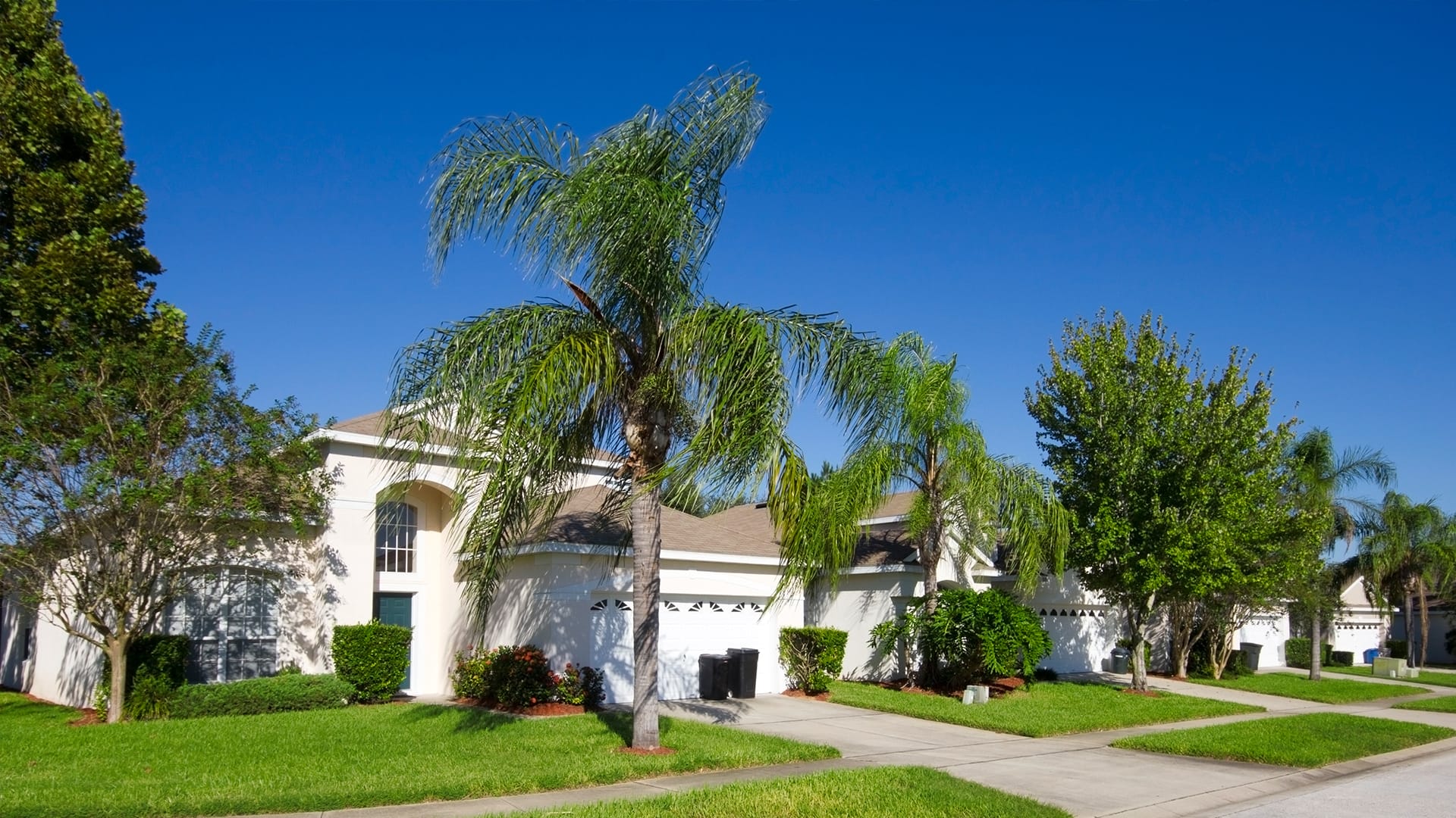 Florida house with palm trees and lawn in front