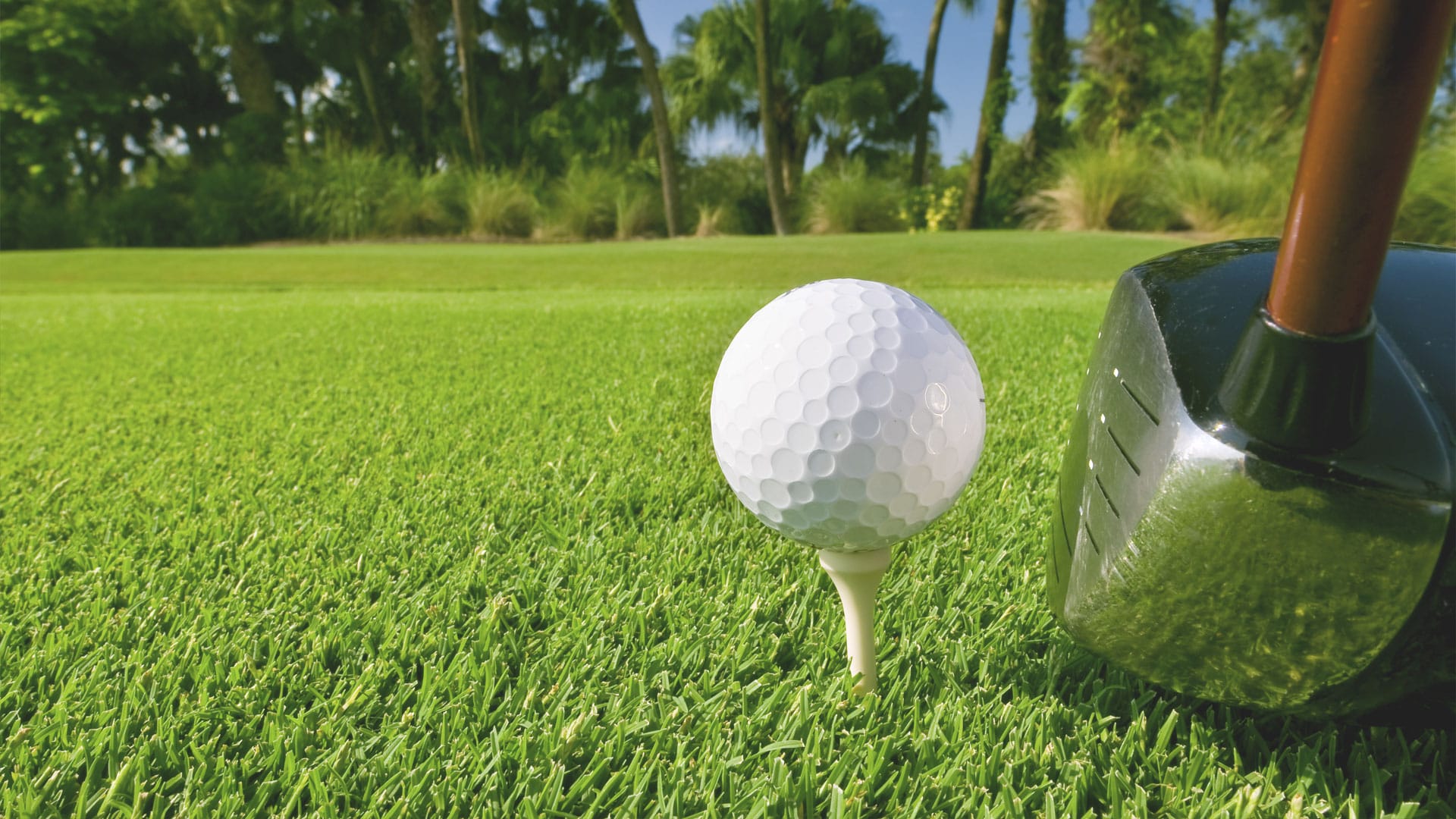 Close up of a golf ball on a tee