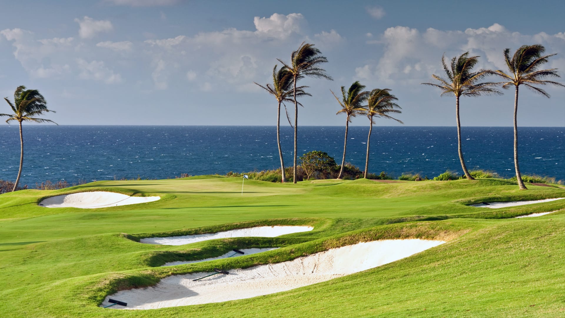 Golf green by the sea with palm trees