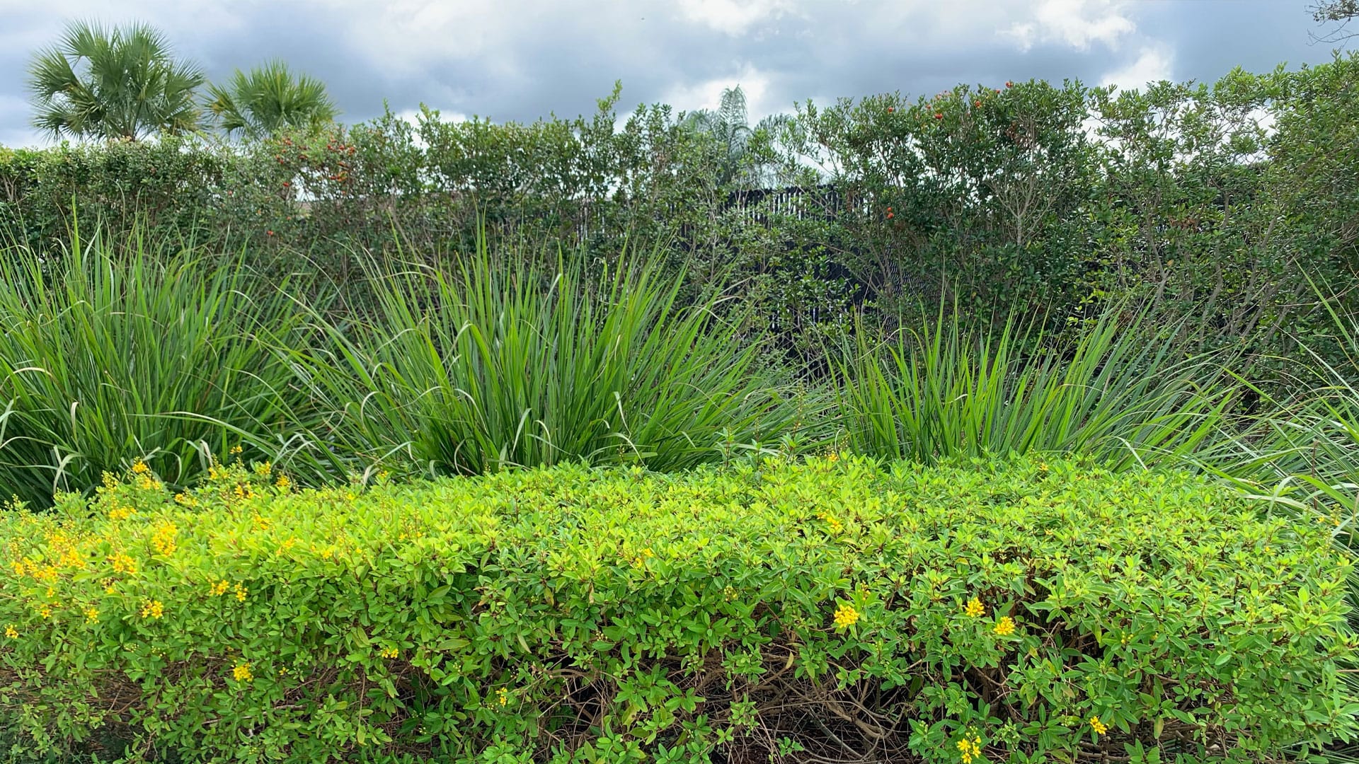 Birdseye view of a property estate with rows of houses