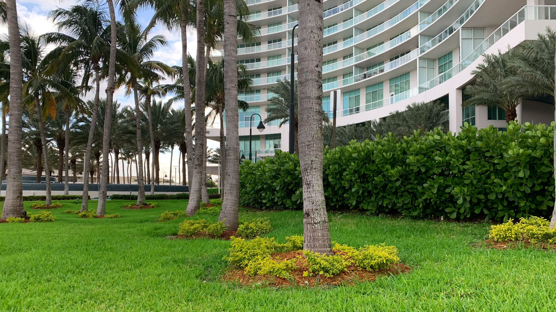 Green grass an palm trees outside an accommodation block