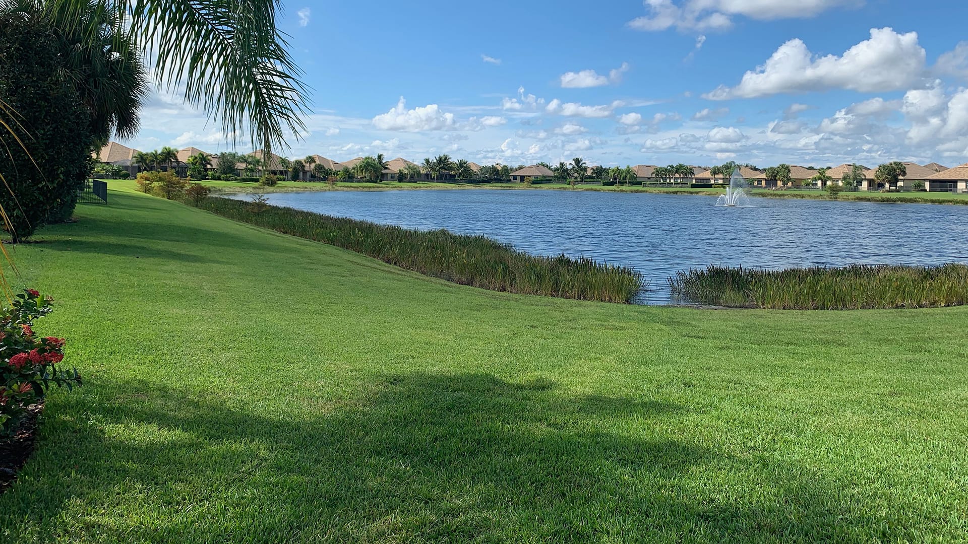 Green grass with palm trees and a water reservoir in the background