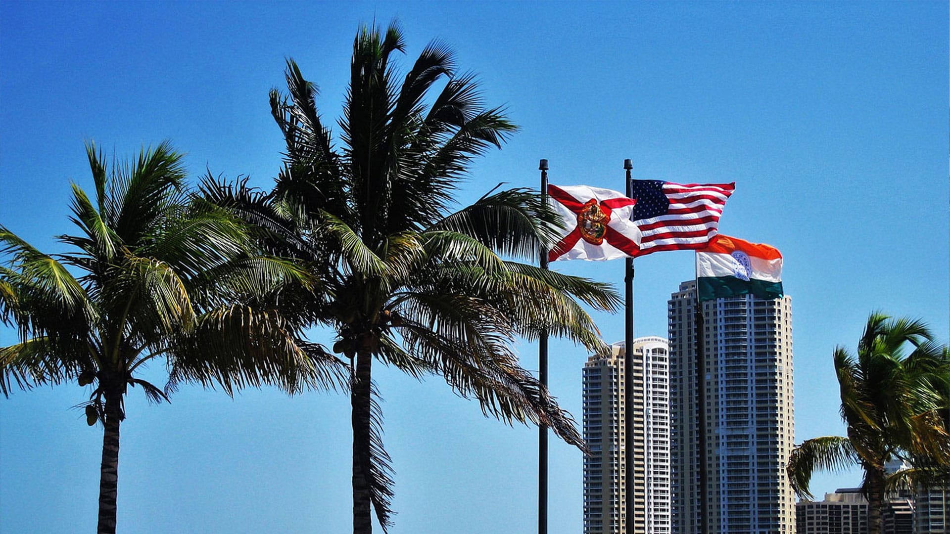 USA flag with blue skies and palm trees