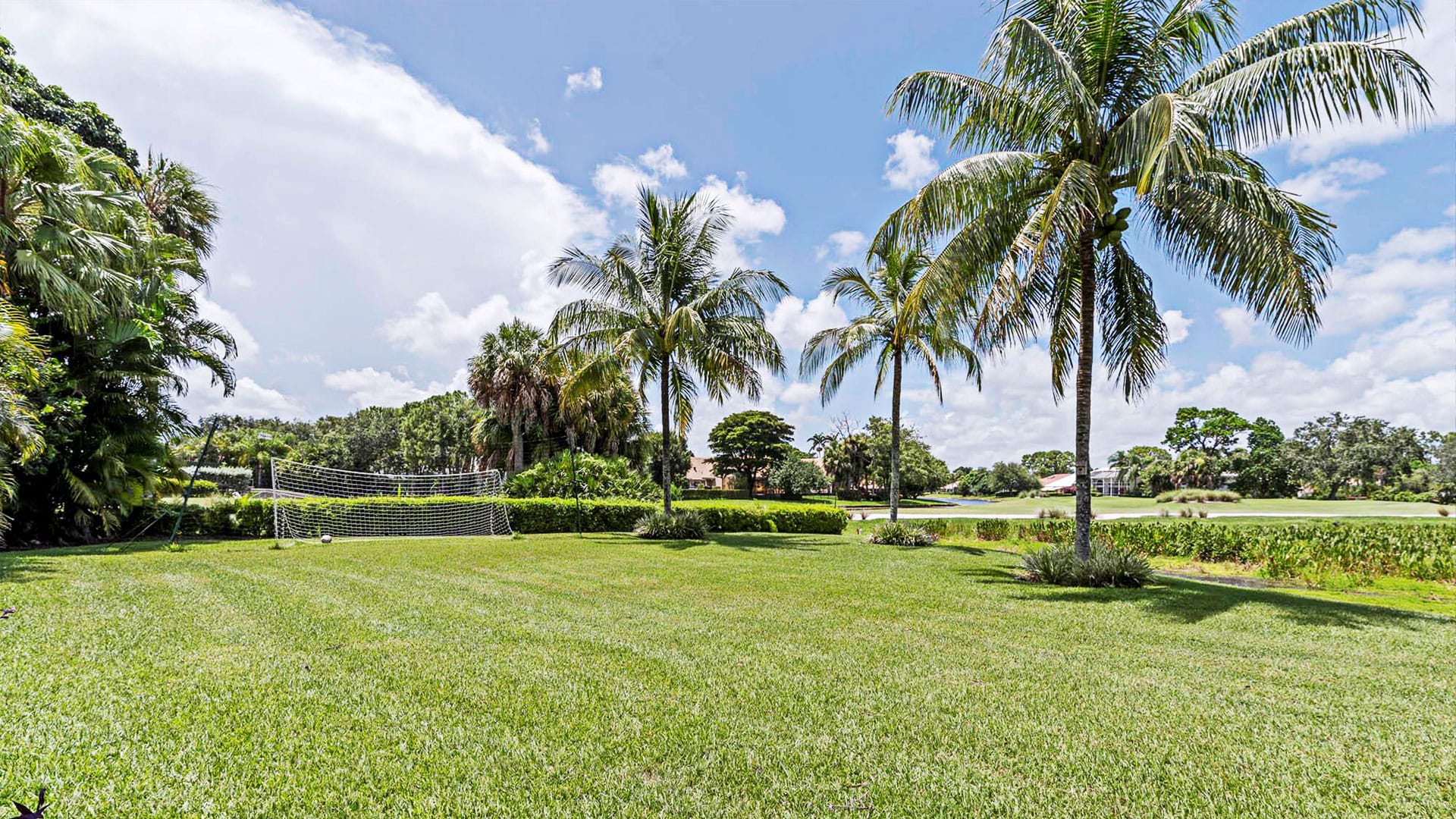 Palm trees and grass lawns