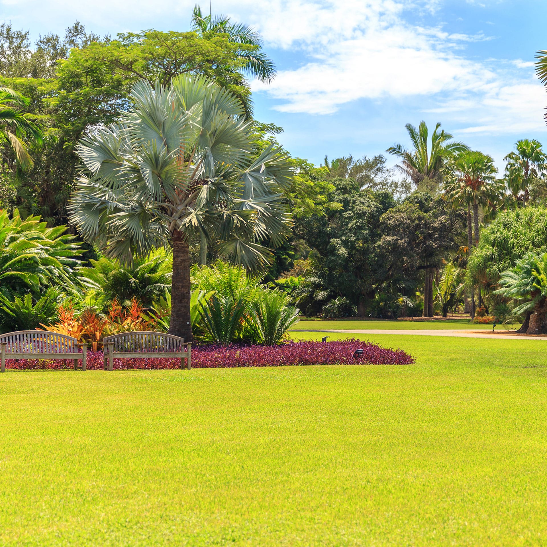Florida park with green grass and trees