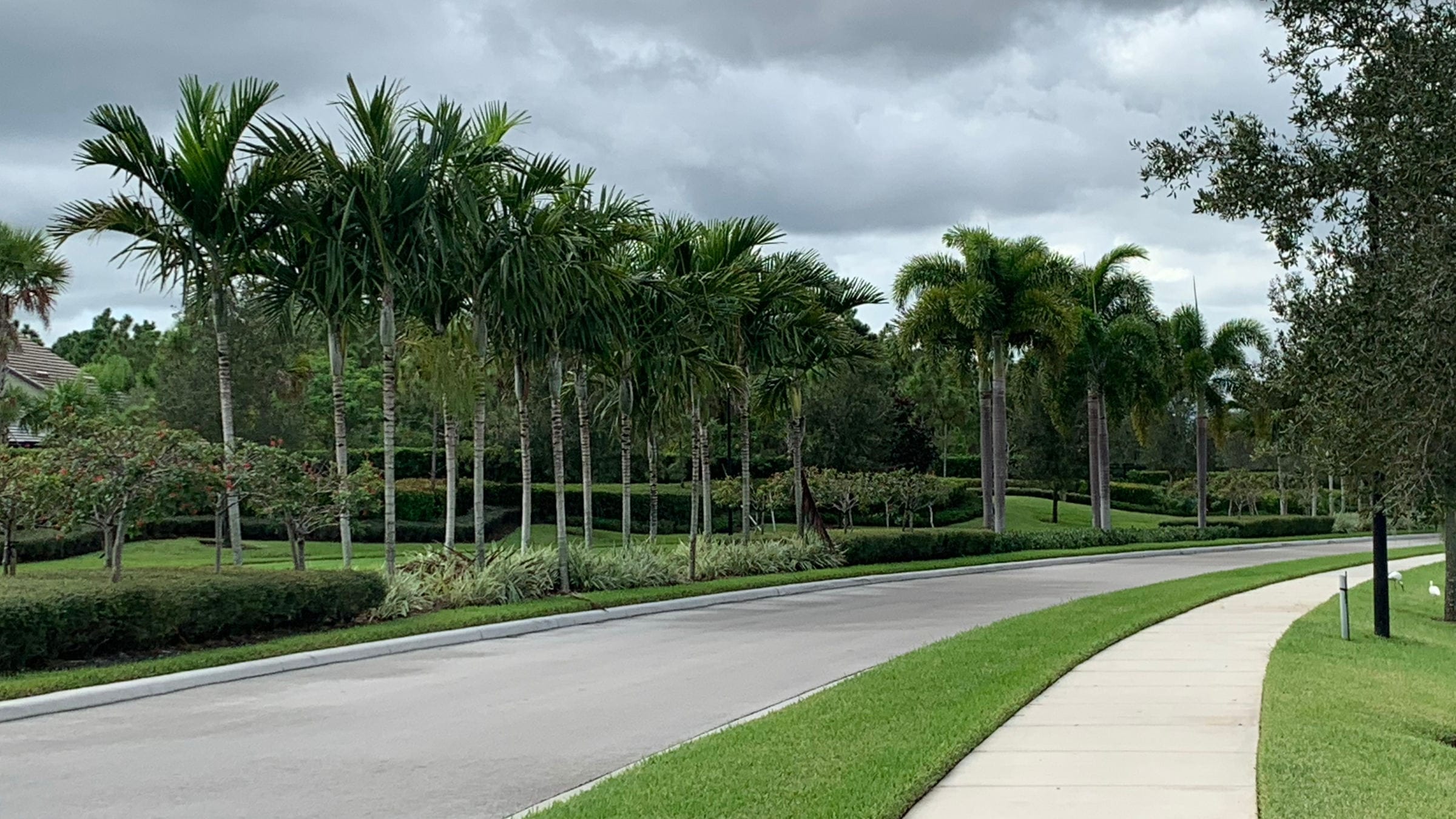 View of a street with pavement alongside a road with palm trees