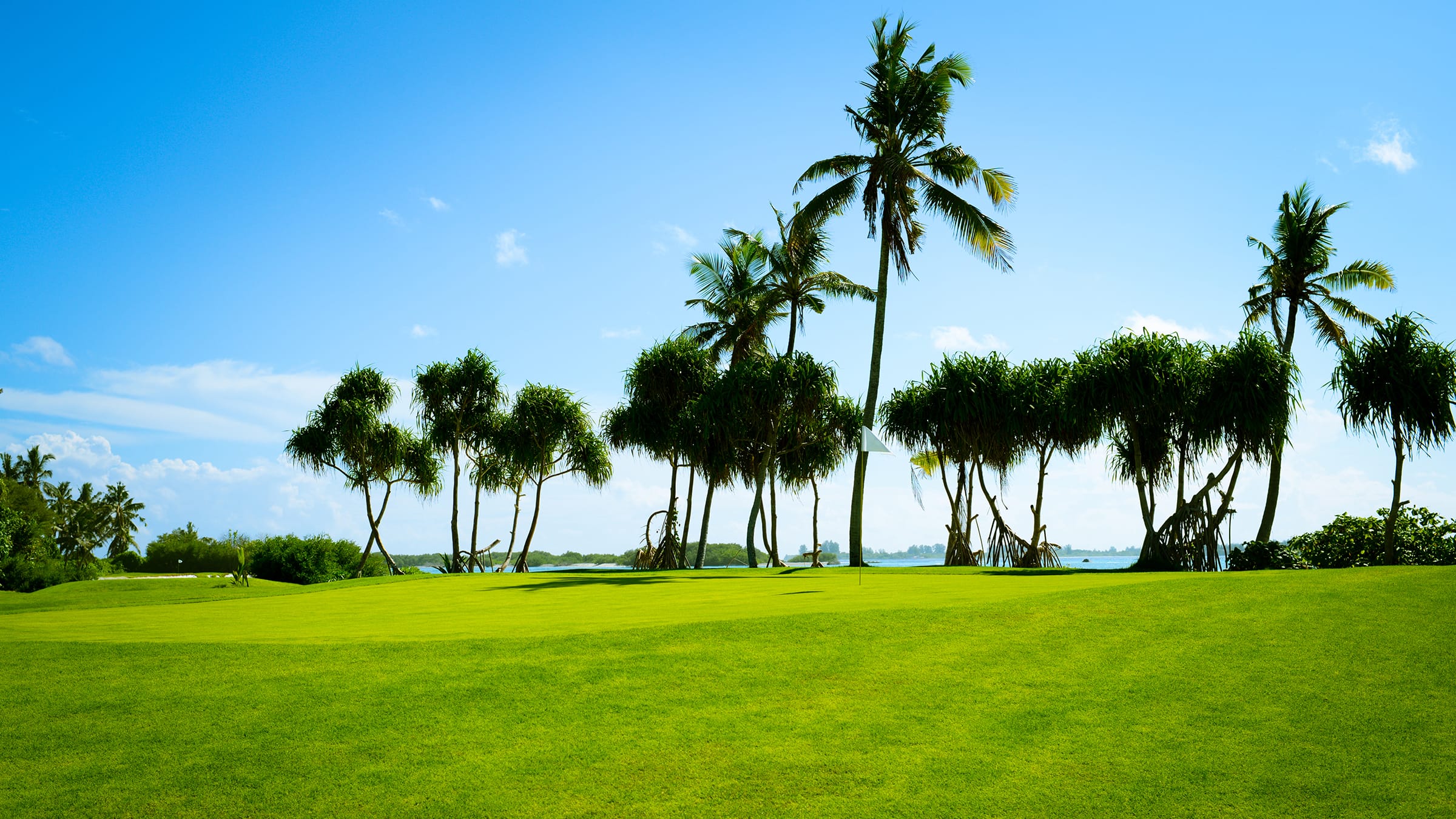 Golf course with green grass and palm trees
