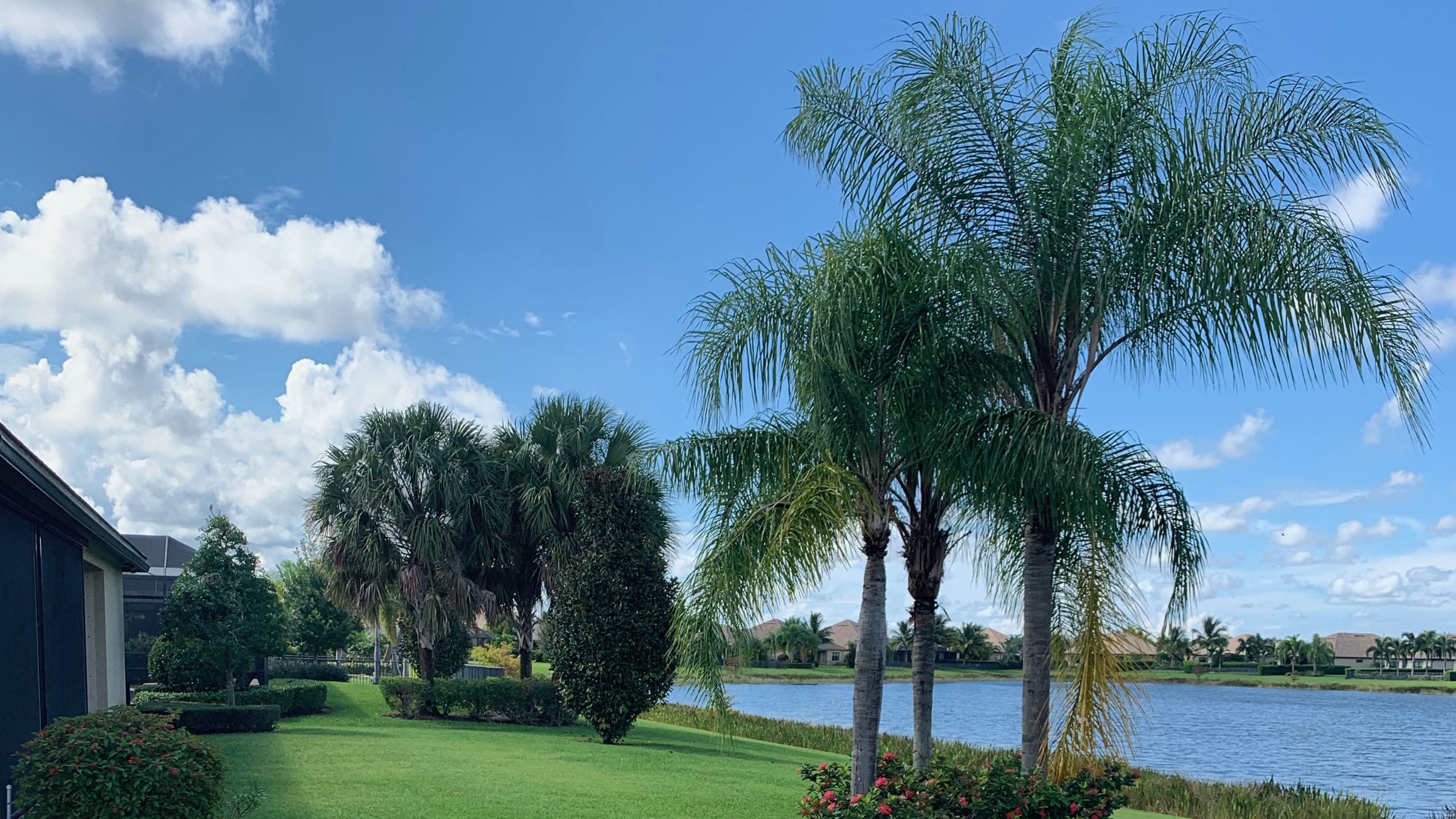 View of a garden with palm trees on a housing community estate