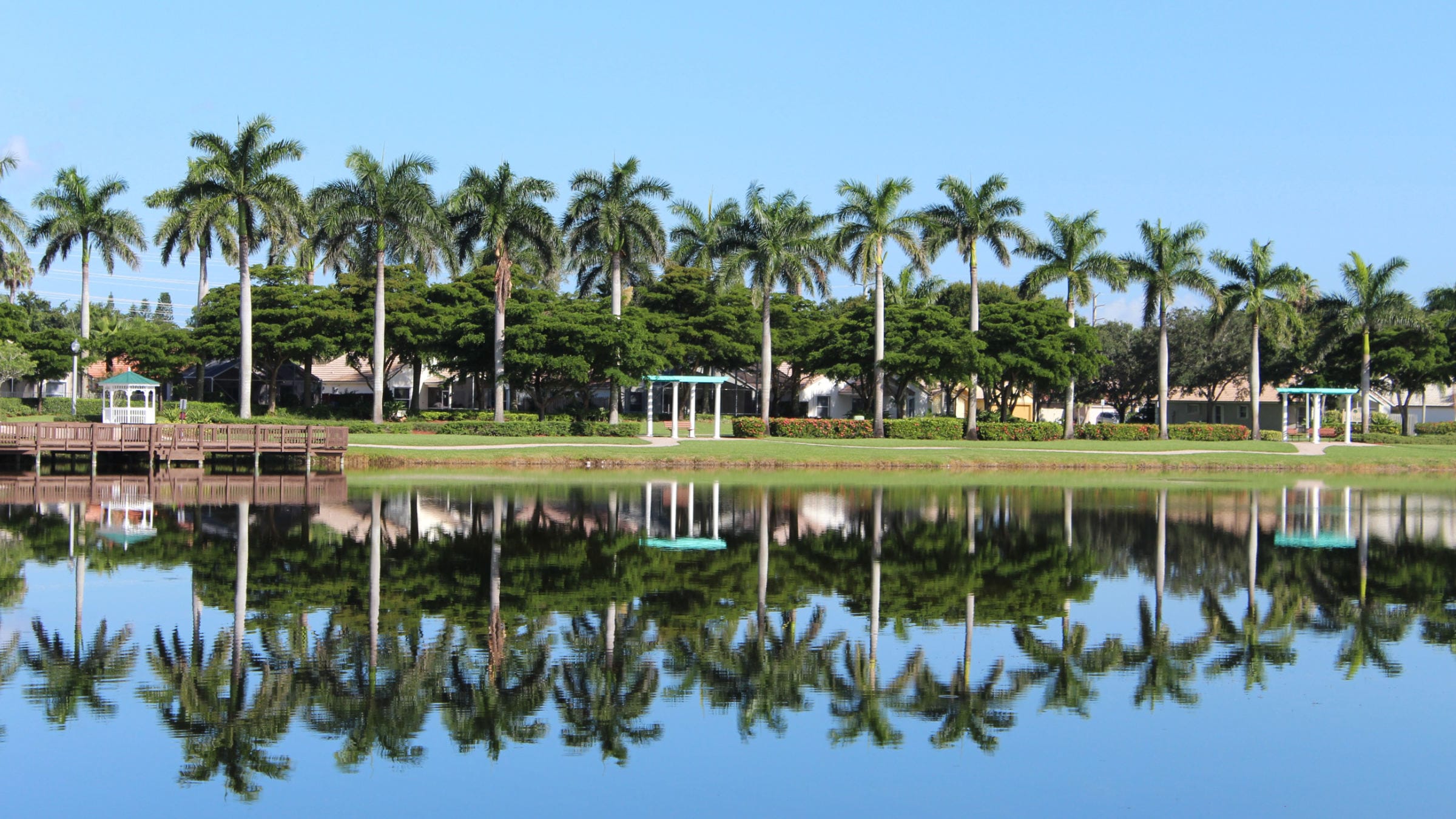 Palm trees in front of a waterfront in a housing community