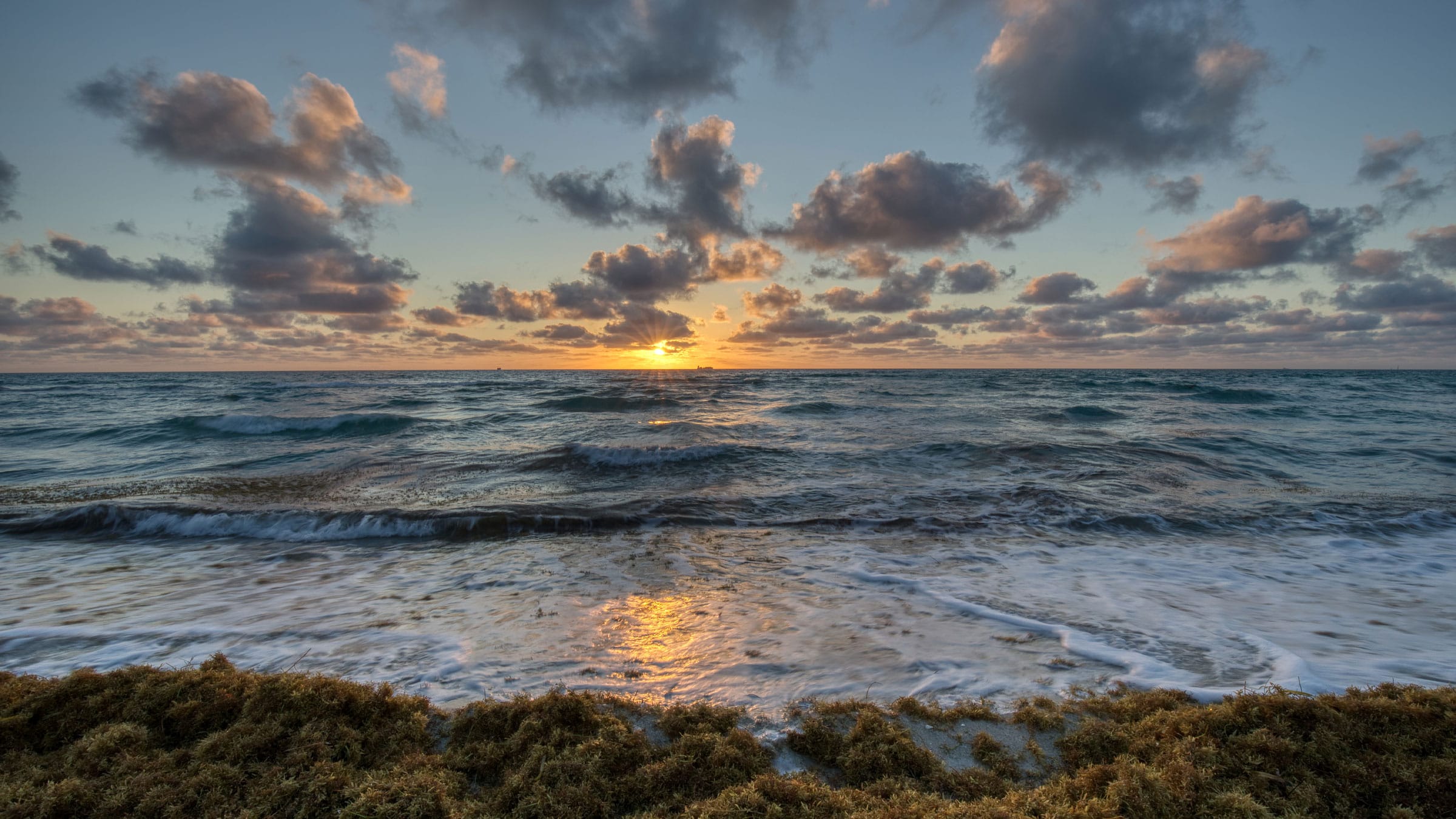 Sargassum on Florida beach at sunset