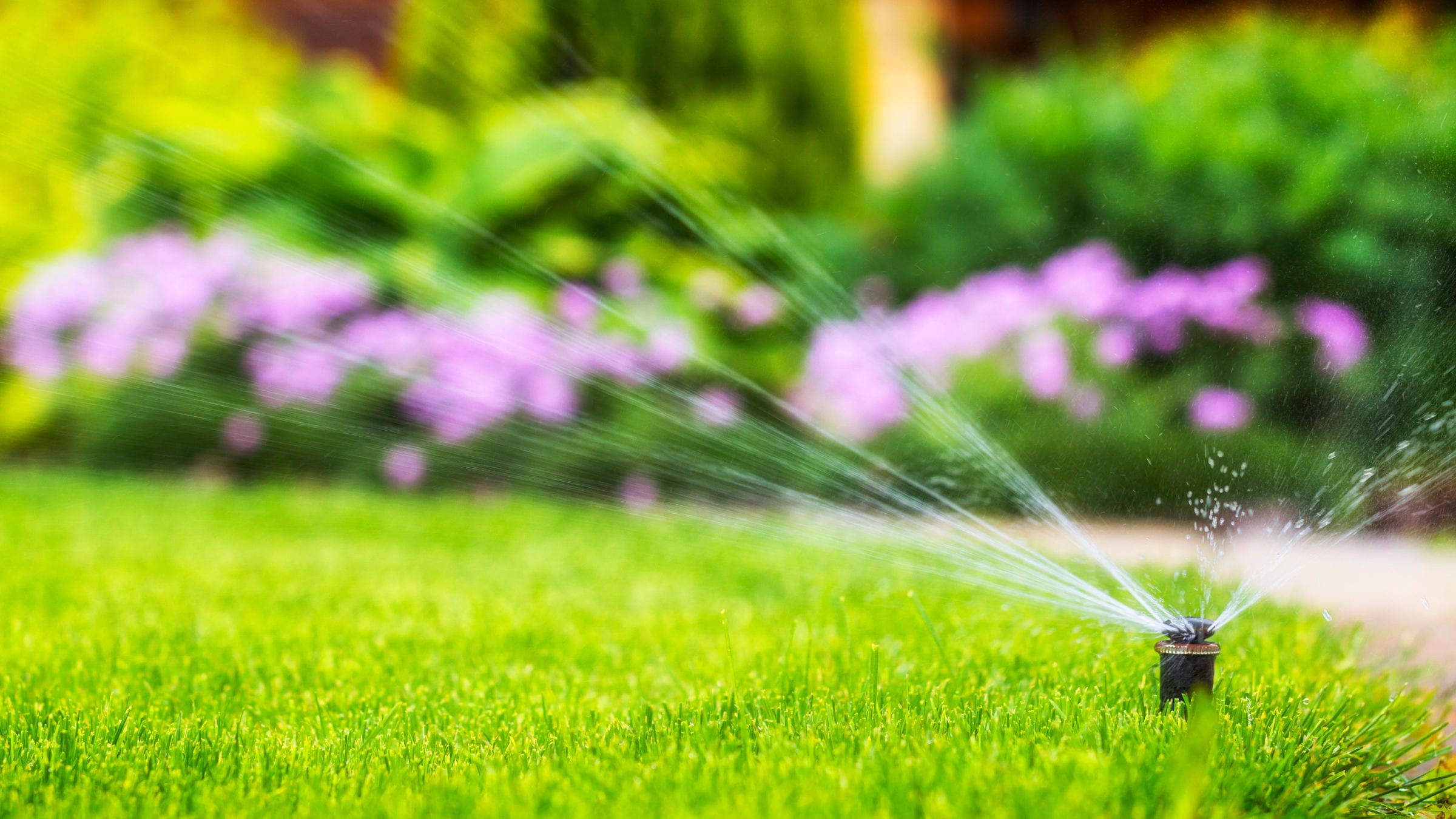 Sprinklers spraying water on a garden with flowers in the background