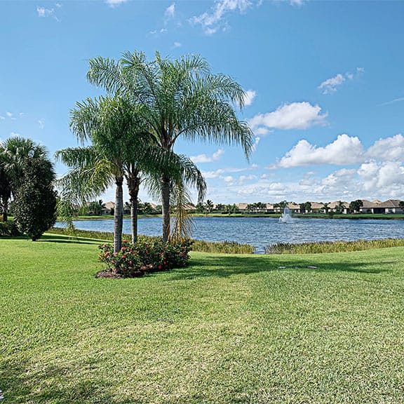 Palm trees and grass at the Castellina community estate