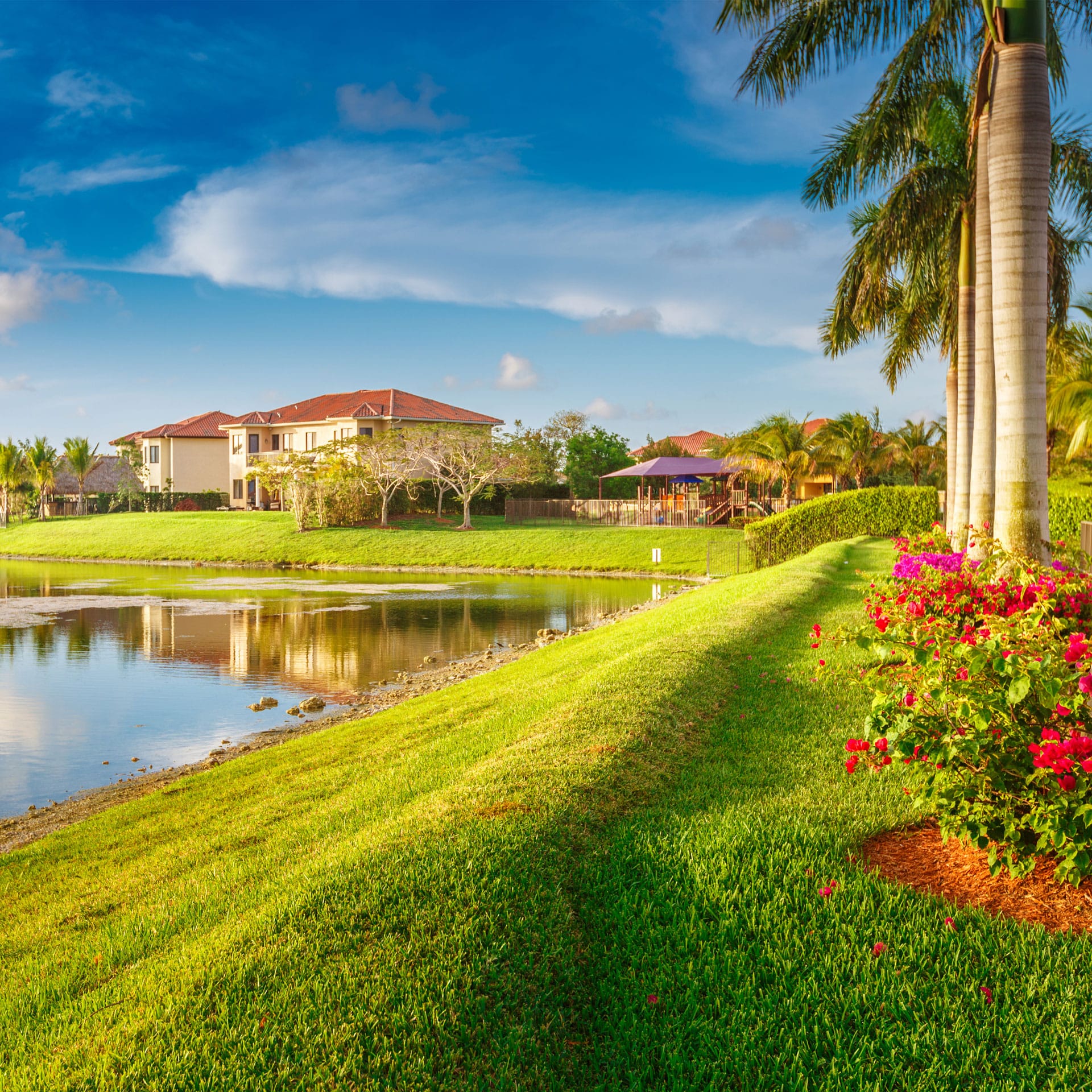 Condos by the lake with palm trees and grass