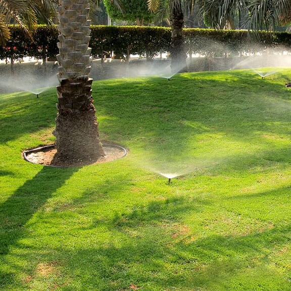 Sprinklers going next to some palm trees and grass