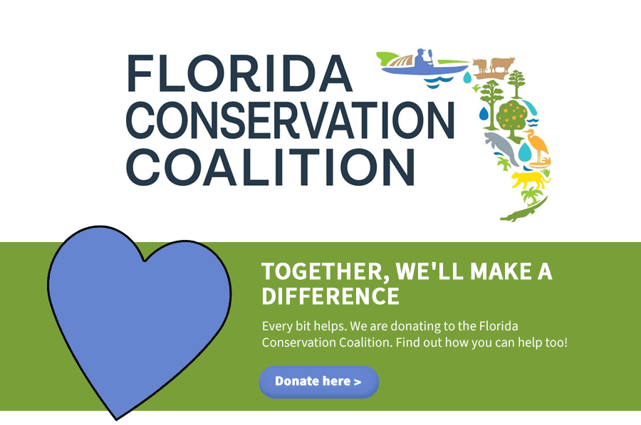 fcc donate button