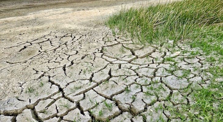 florida dry ground