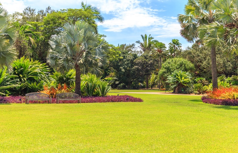 parks and green spaces