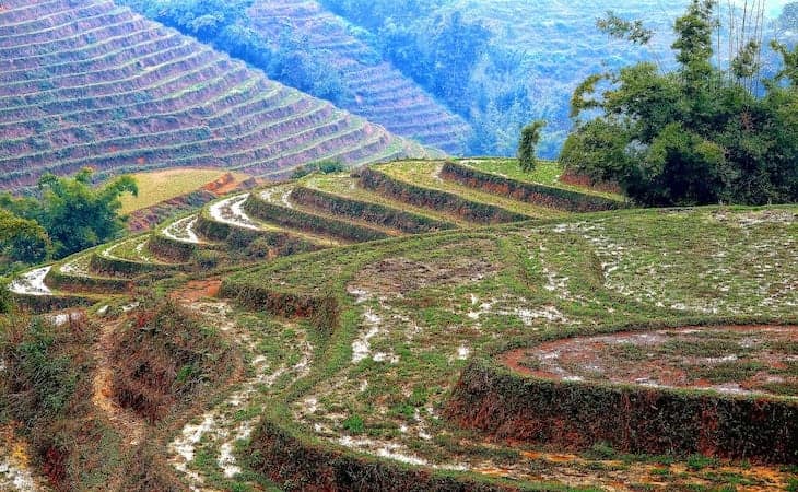 irrigation terraces