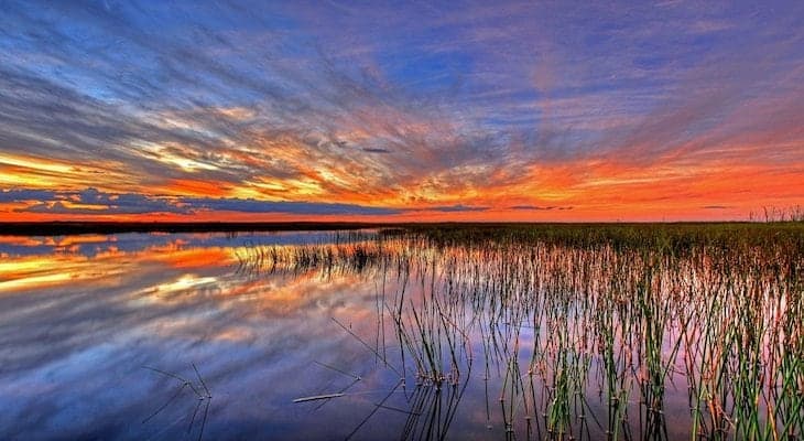 sunset florida