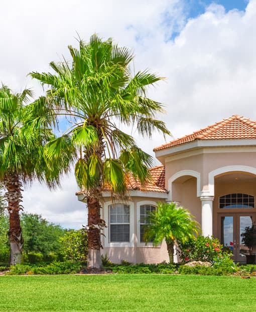 House in Florida with palm trees and lawn outside