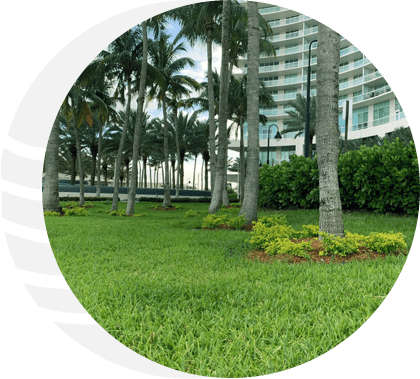 Helping You Manage Your Landscape Irrigation Efficiently