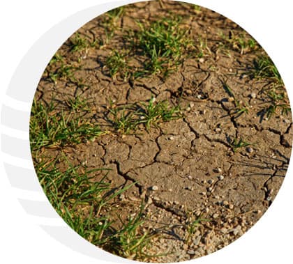 Comprehensive Irrigation Needs Analysis