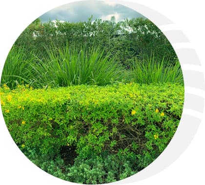 Protecting Our Florida Environment