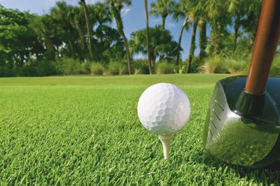 Golf Club