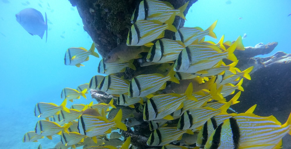 Wreck off Florida coast