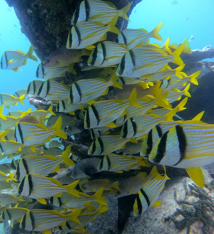 Wreck off Florida Coast