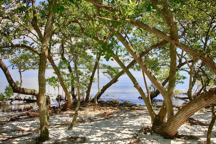 Manatee River