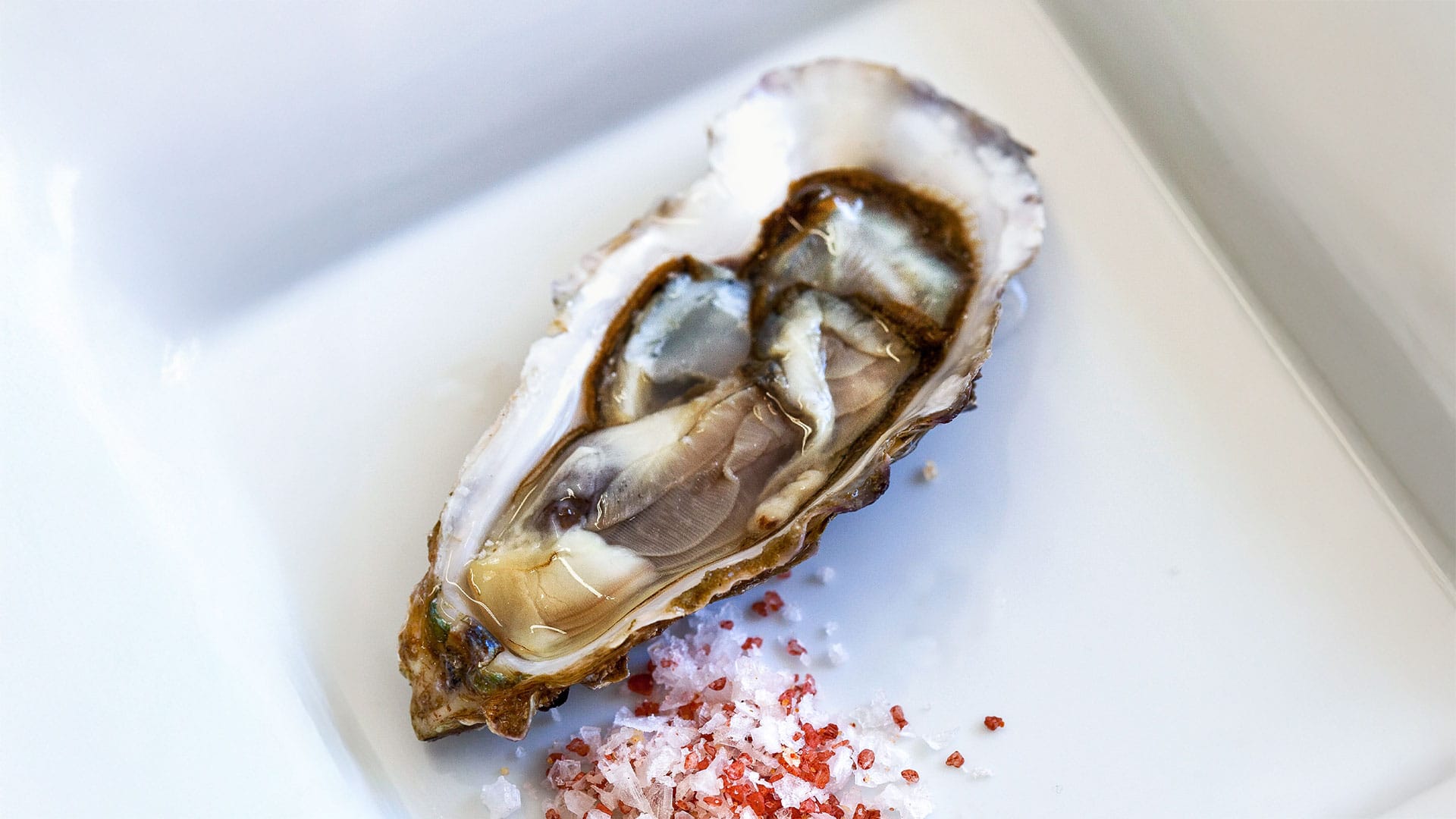 Oyster on a Plate