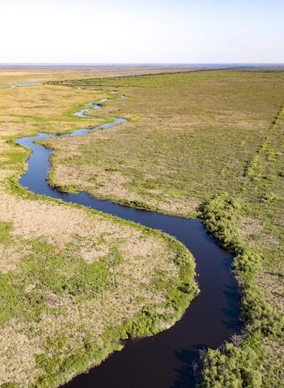 St Johns river Florida