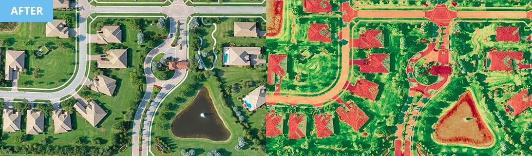 Castellina Community Landscape After