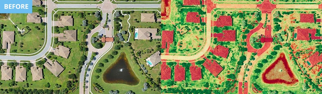 Castellina Community Landscape Before